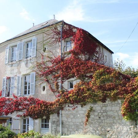 Вілла Gite Au Calme Avec Jardin Et Wifi A La Roche-Posay - Fr-1-541-52 Екстер'єр фото